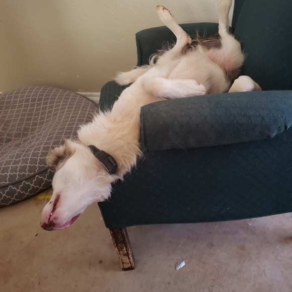 Meet your Posher, Tamara - Picture 9 of 11